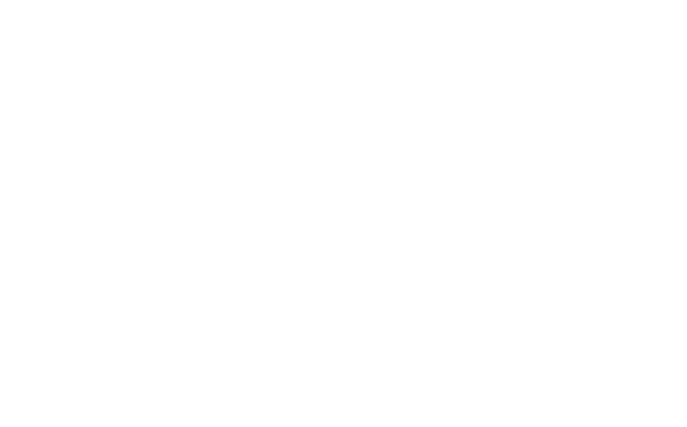 onleefun logo white trnsc